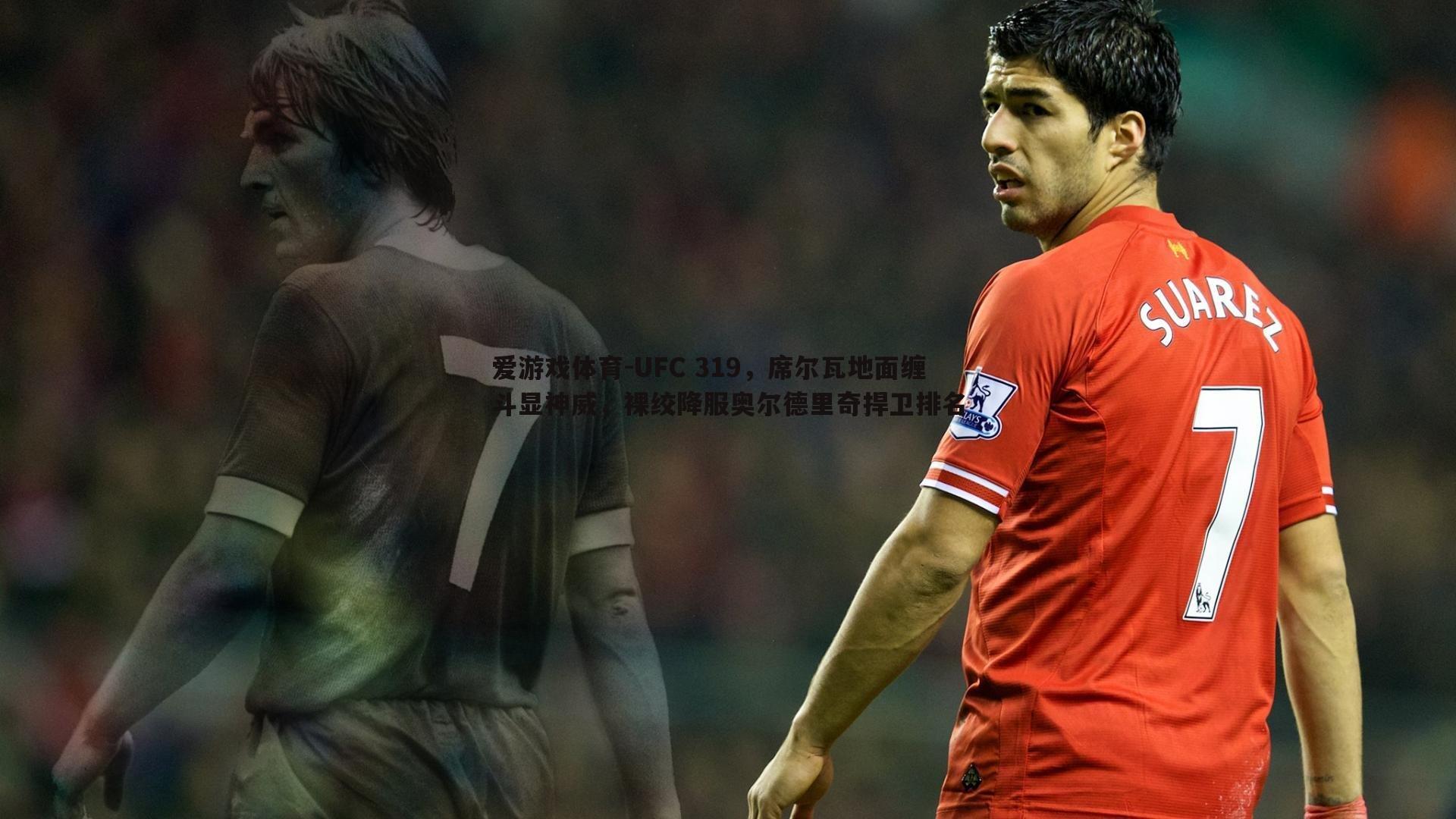 UFC 319,席尔瓦地面缠斗显神威,裸绞降服奥尔德里奇捍卫排名